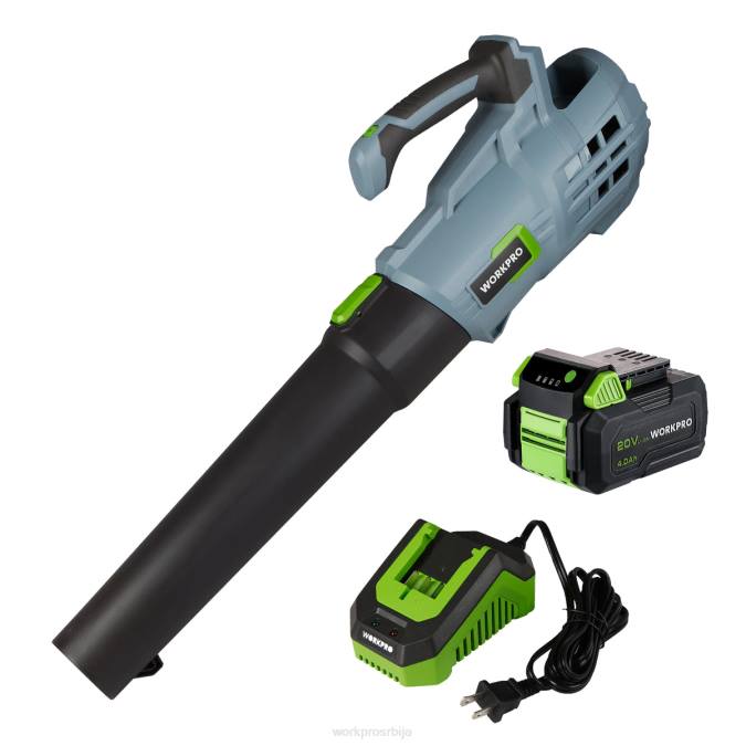 користан WORKPRO 20в бежични вентилатор за лишће са 5 подесивих брзина 4.0ах батерија већег капацитета и брзи пуњач укључени оруђе 2200292